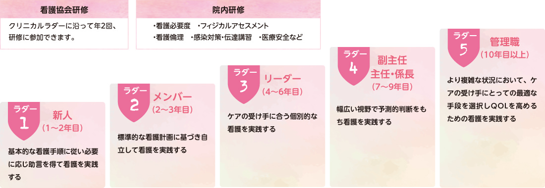 図:現任教育ラダー方式